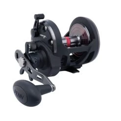 PENN -PENN PENN Saltwater Conventional Star Drag Reel WARFARE 30 1