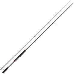 CANNE PENN CONFLICT EGI