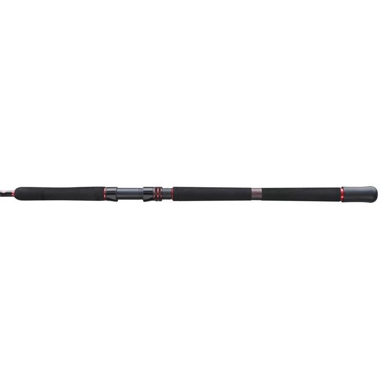 CANNE SPINNING PENN SQUADRON III JIG SPINNING ROD 5 CANNE SPINNING PENN SQUADRON III JIG SPINNING ROD - Afbeelding 3
